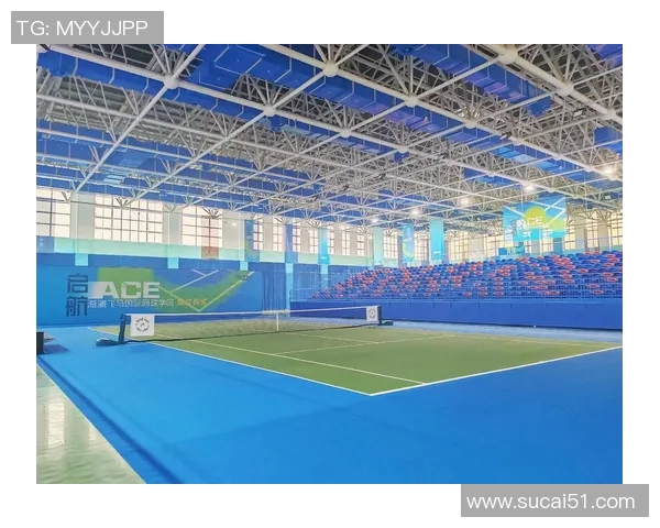 武汉网球队的崛起与发展探索：展现青春力量与竞技精神的网球之旅