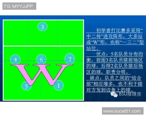 重庆排球队整体压制战术解析及其对排球赛事的影响分析