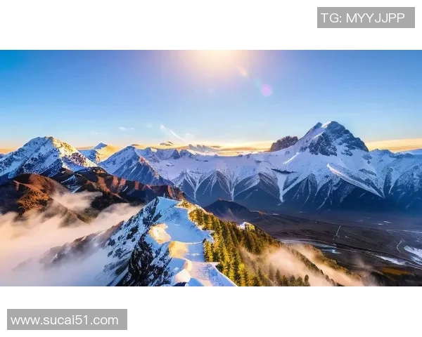 攀岩人生的深度对话:杨敏如何在高峰中找到自我与挑战的意义 攀岩人生的深度对话:杨敏如何在高峰中找到自我与挑战的意义