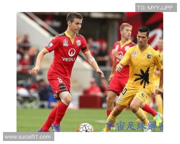 足球明星运动寿命的秘密与影响因素探讨 足球明星运动寿命的秘密与影响因素探讨