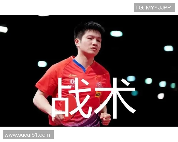 南京羽毛球队与北京羽毛球队赛后战术分析与对比探讨