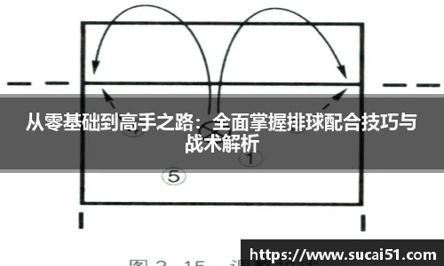 从零基础到高手之路：全面掌握排球配合技巧与战术解析